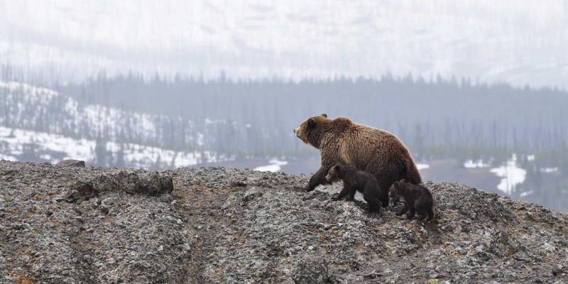 从企业工装到婚礼制服：如何实现新人、父母及伴郎伴娘服的风格统一规划