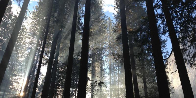 从工装制服到职业装定制：三个企业案例揭示品牌形象升级密码