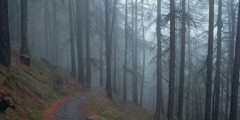 企业工装与职业装定制指南：从统一形象到文化赋能