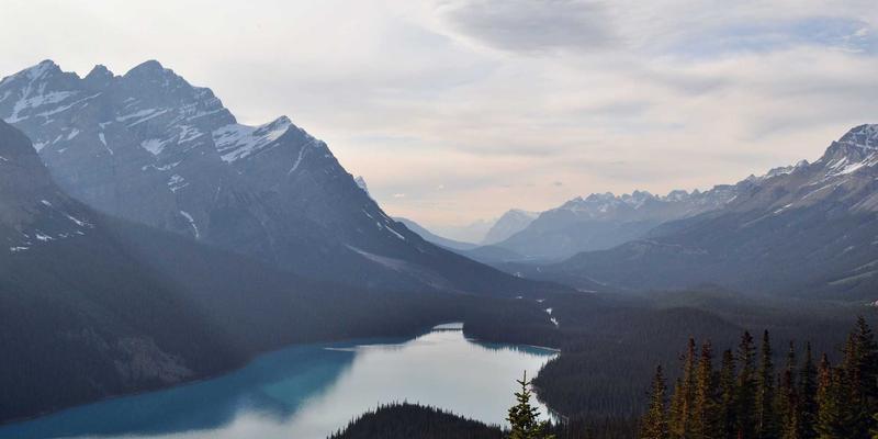 企业工装定制中的版型奥秘：制服供应如何通过个性化结构调整为不同身材扬长避短