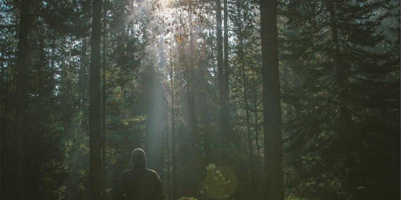 企业工装定制指南：职业装如何成为品牌战略与团队凝聚力的利器