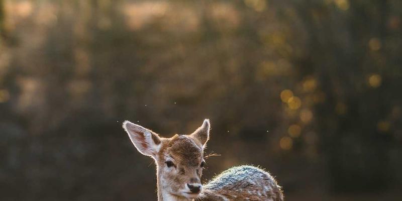 企业形象与效率的双赢选择：专业工作服定制全攻略