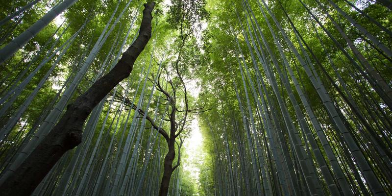 工作服定制如何提升团队凝聚力？企业工装与员工归属感的深度联结