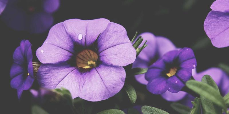 服装定制55：职业装、企业工装与工作服定制的全面指南