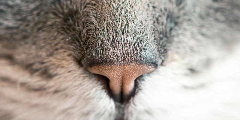 服装定制91:解锁企业工装新价值,工作服定制如何赋能现代企业