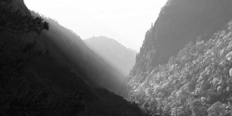 职业装定制:企业形象与员工归属感的双重投资