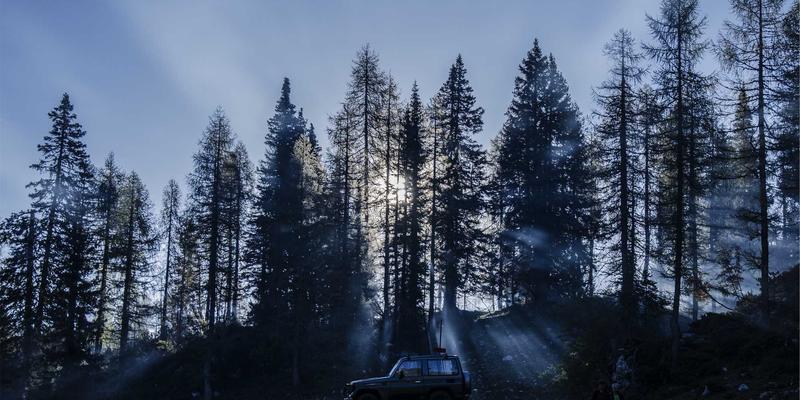 职业装定制新趋势：企业工装如何通过服装定制提升品牌形象与团队凝聚力