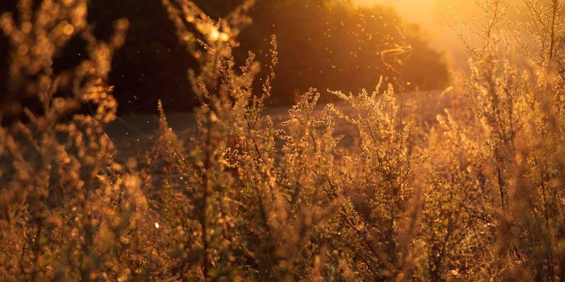 职业装定制新趋势：如何通过服装定制提升企业形象与员工归属感