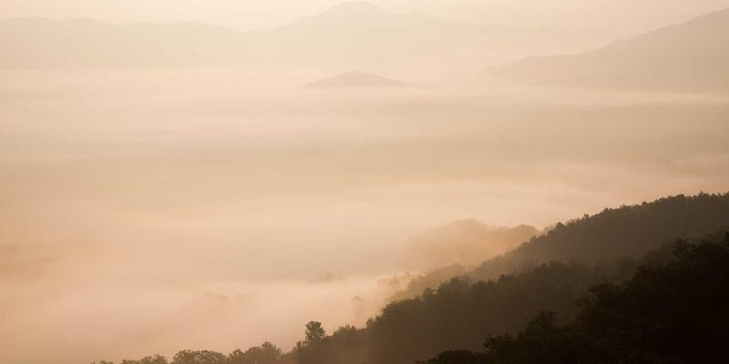 远程量体服务指南：工装制服定制品牌如何通过专业工具与流程保障线上订单合身率